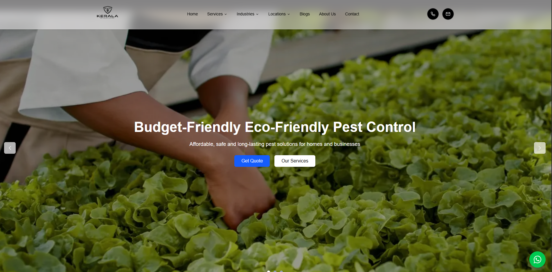 Kerala Pest Solutions